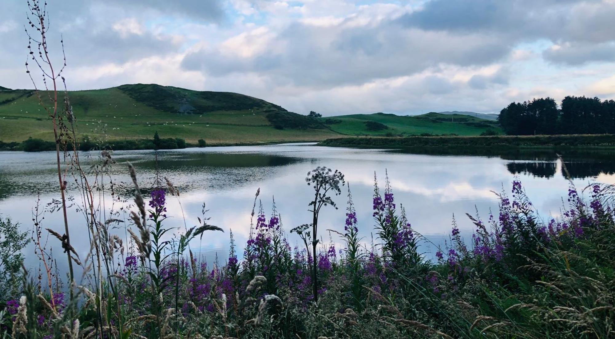 Lake View Romantic Retreat Aberystwyth Exterior foto